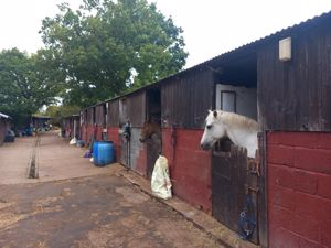 Photo 10- click for photo gallery